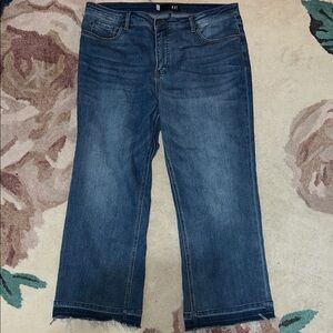 Kut from the Kloth Kalaey Fab Ab Ankle Flare High Rise Jeans